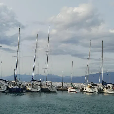 Aliki