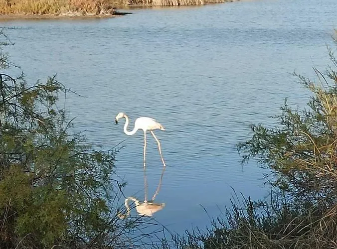 Aliki Casa de Férias Égio
